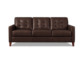 Aiden Leather Sofa Collection