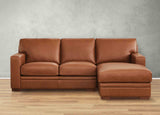 Dillon Leather Sectional Collection