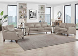 Camano Leather Sofa Collection