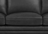Camano Leather Sofa Collection