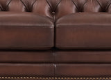 Close-up of a brown leather sofa with tufted backrest and nailhead trim.