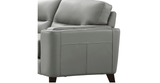 Elm Leather Sofa Collection - Hydeline USA