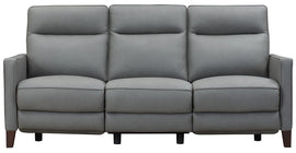 Ashby Power Headrest & Lumbar Zero Gravity Reclining Sofa Collection