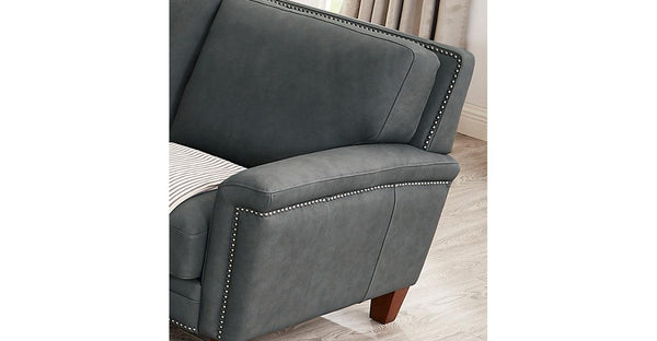 Sherwood Leather Sofa Collection, Charcoal - Hydeline USA