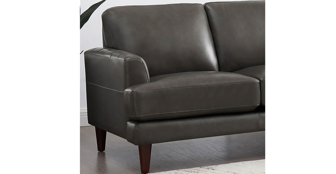 Cassia Leather Sofa Collection, Concord Gray