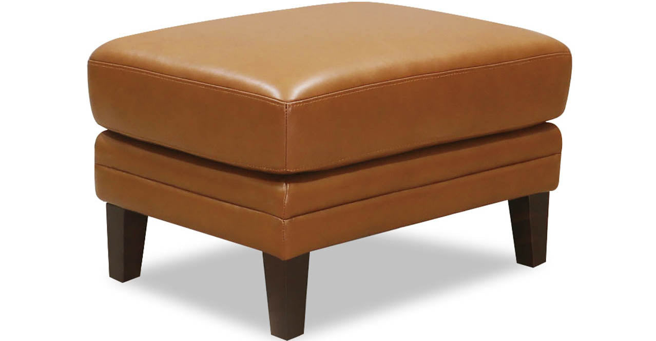 Arvo Leather Sofa Collection