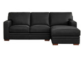 Dillon Leather Sectional Collection