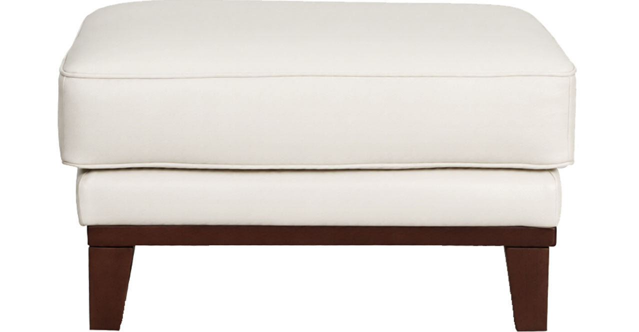 Avon Leather Sofa Collection