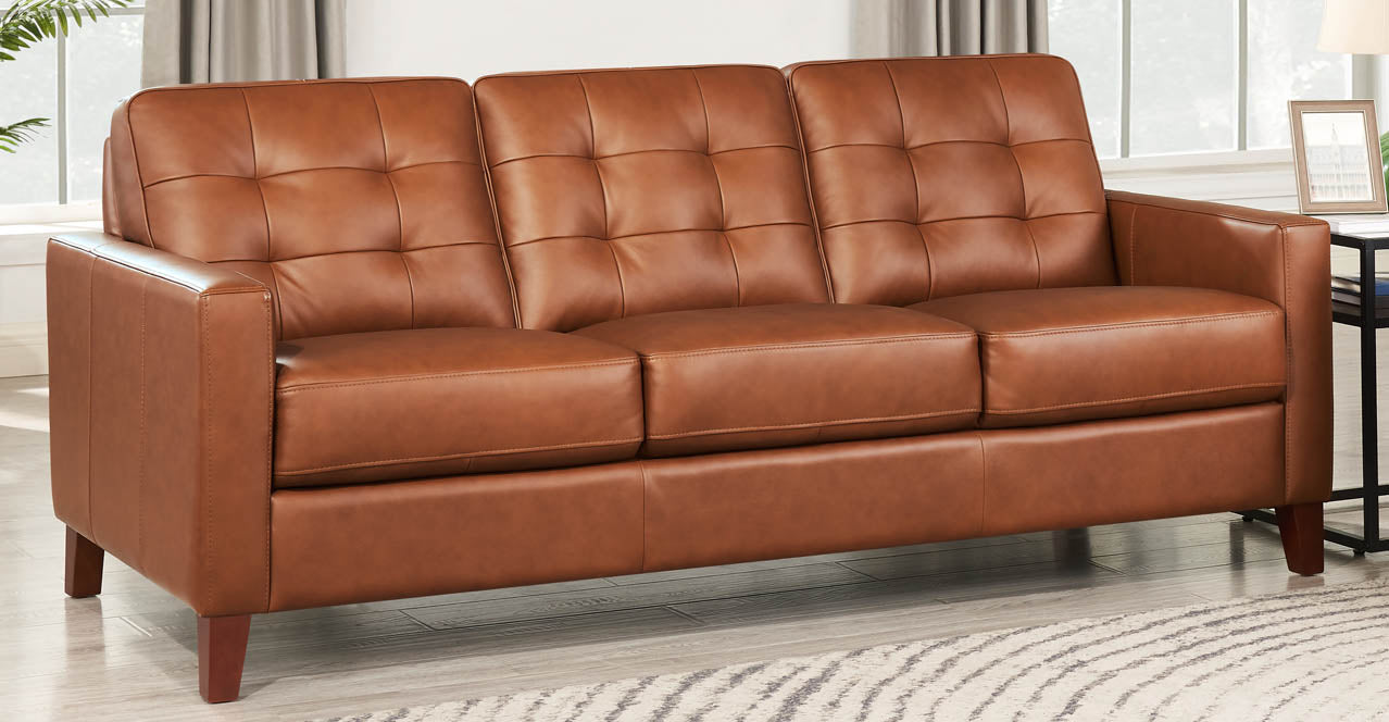 Aiden Leather Sofa Collection