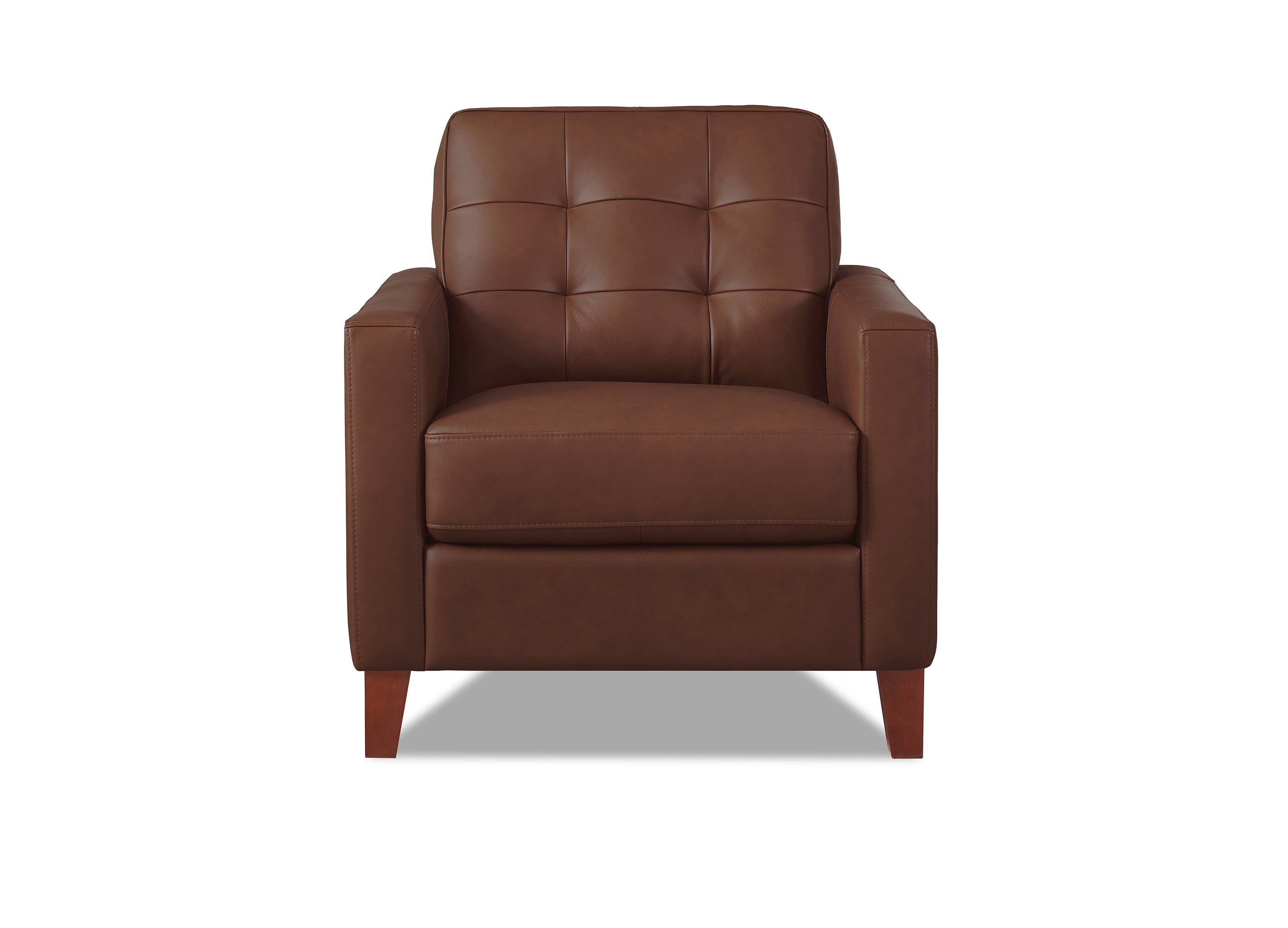 Aiden Leather Sofa Collection