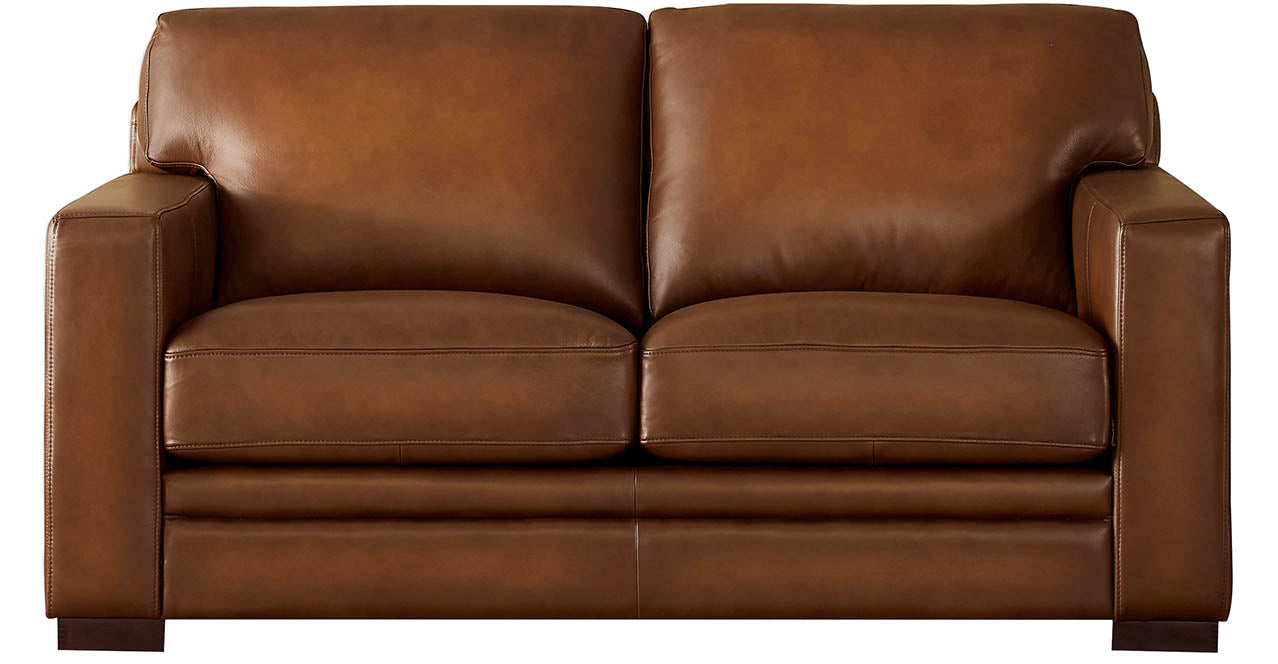 Dillon Leather Sofa Collection