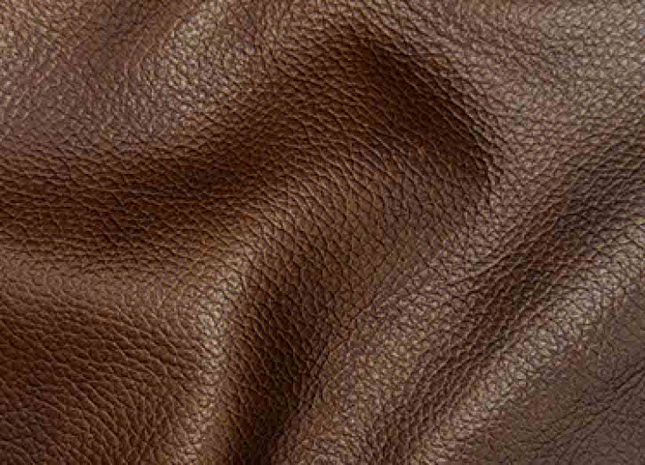Alton Bay Leather Sofa Collection