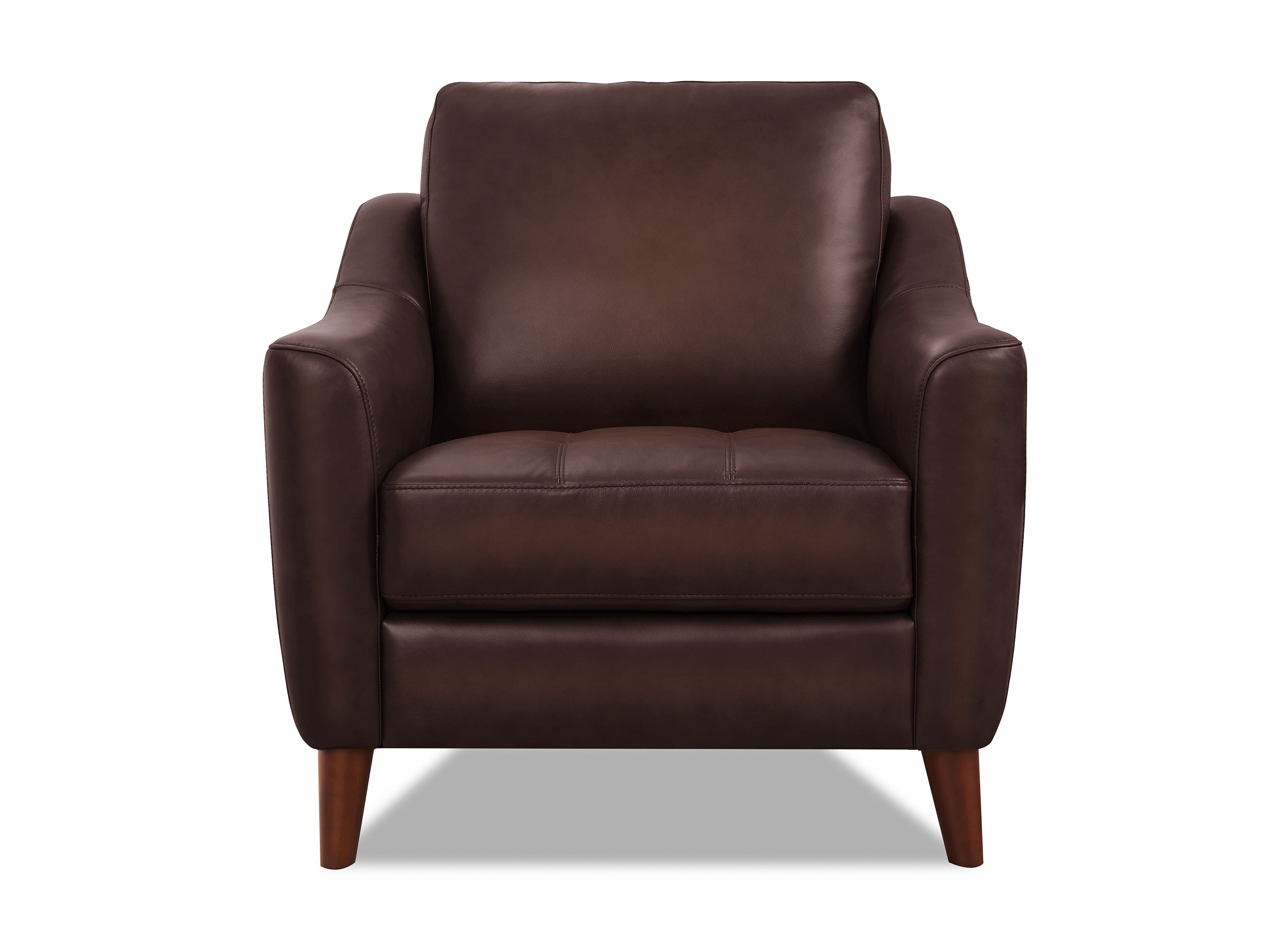 Ersa Leather Sofa Collection