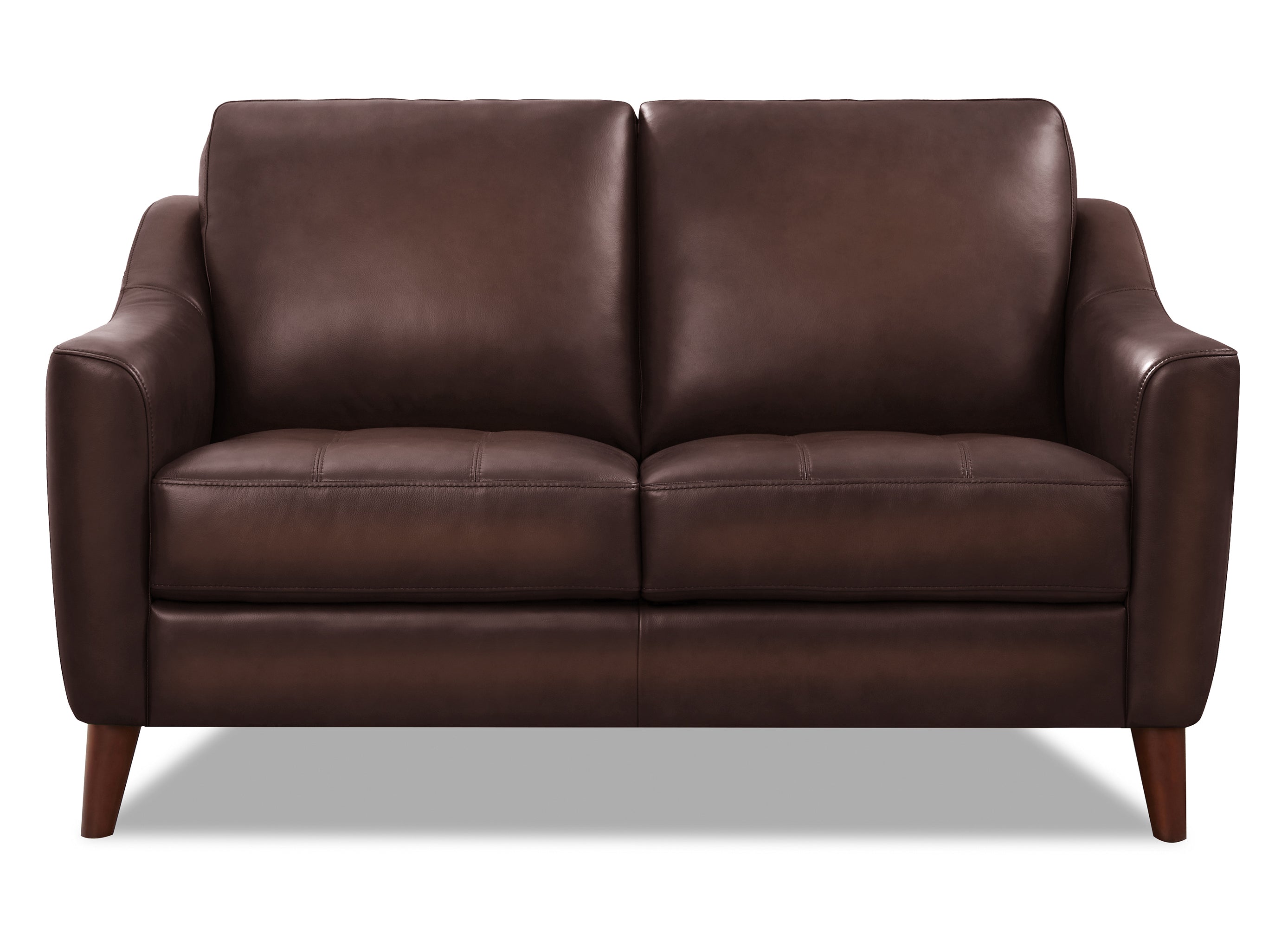 Ersa Leather Sofa Collection