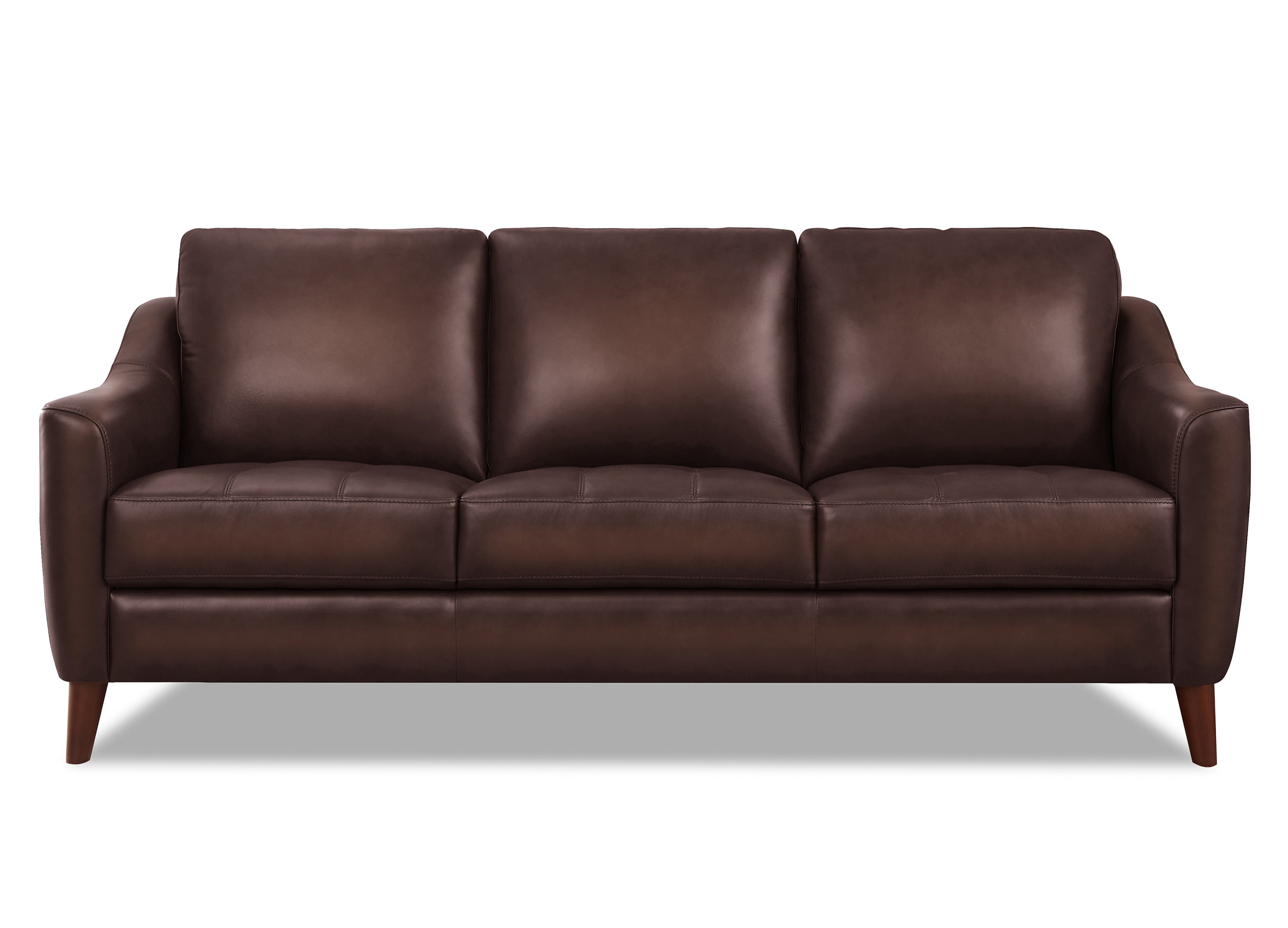 Ersa Leather Sofa Collection