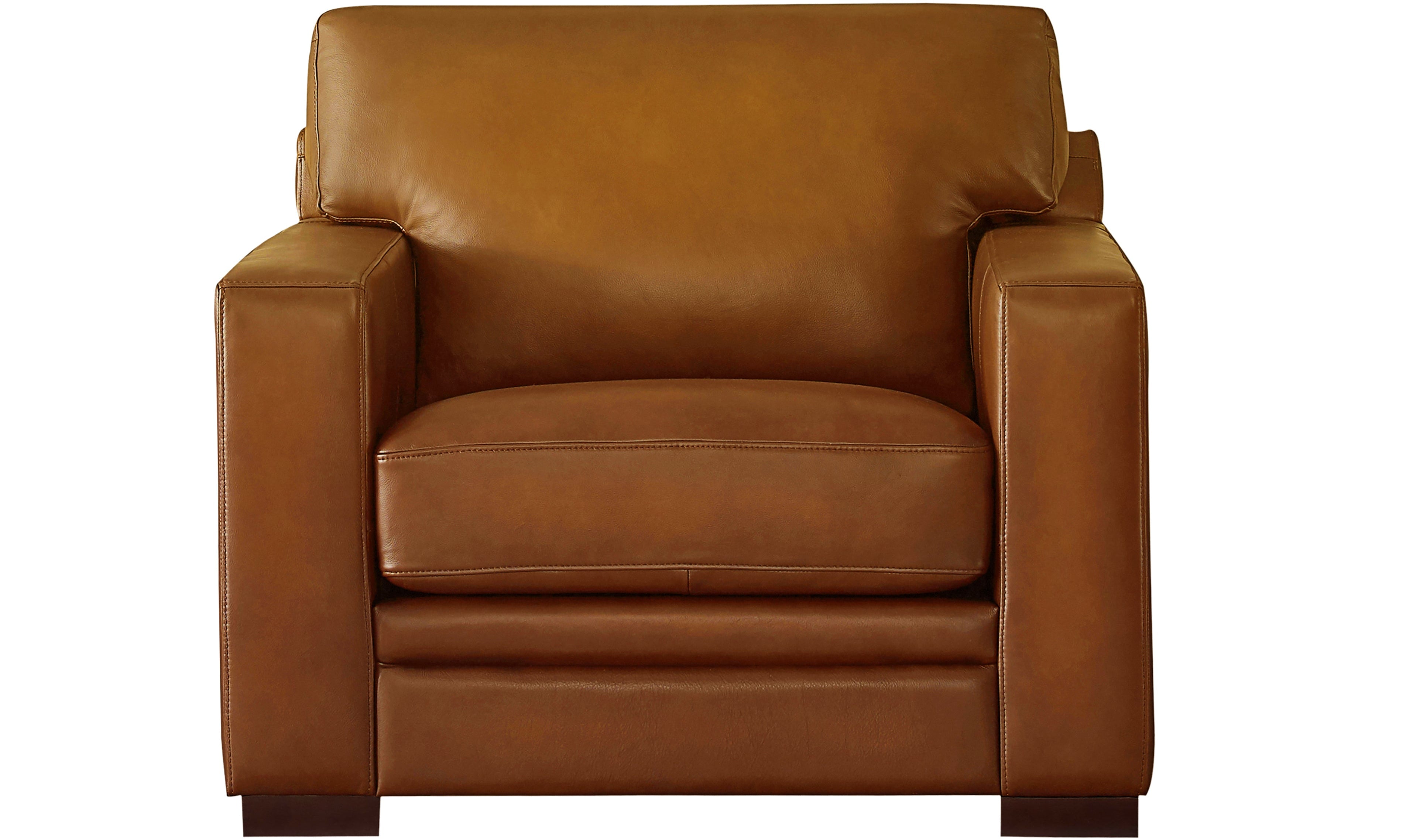 Dillon Leather Sofa Collection