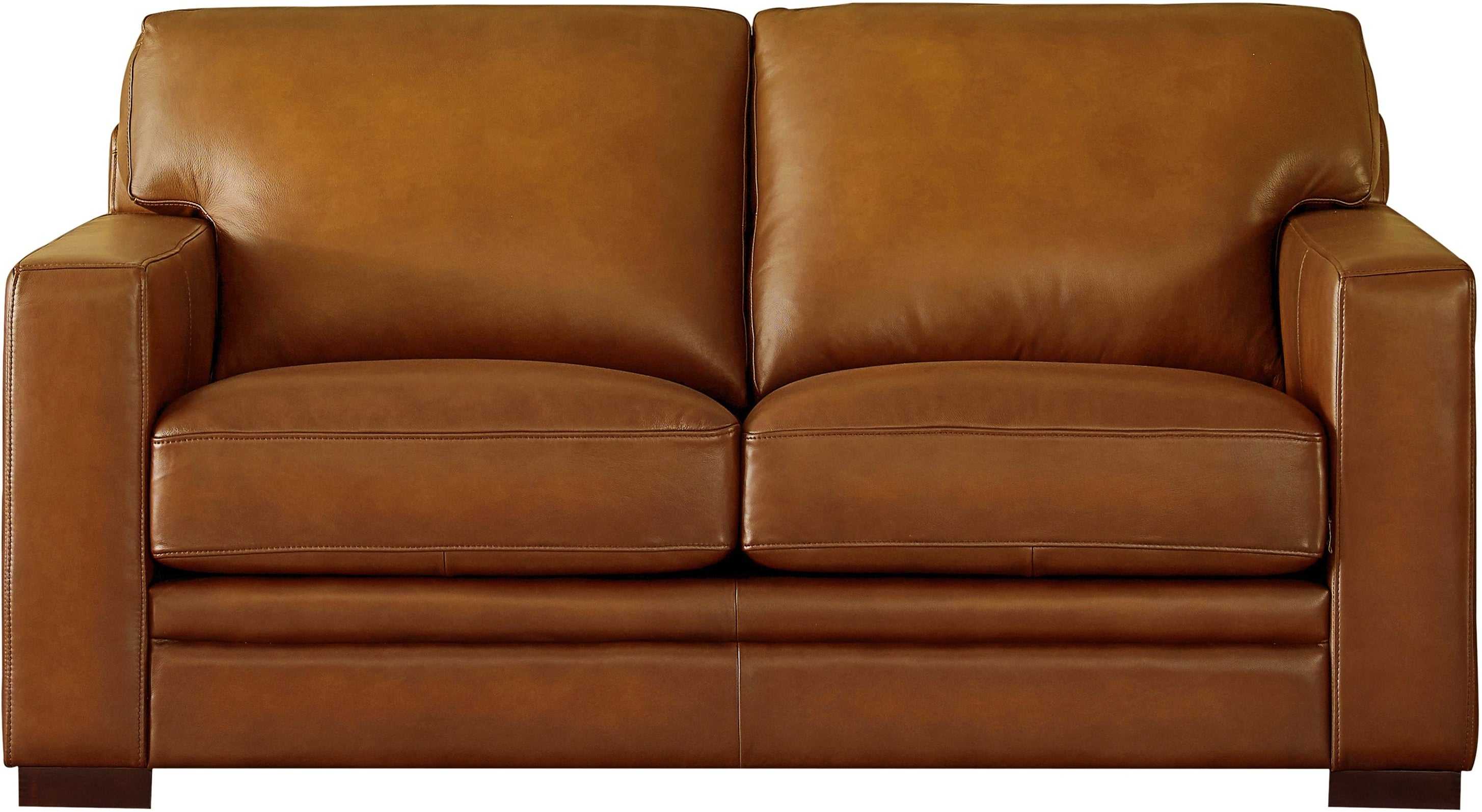 Dillon Leather Sofa Collection