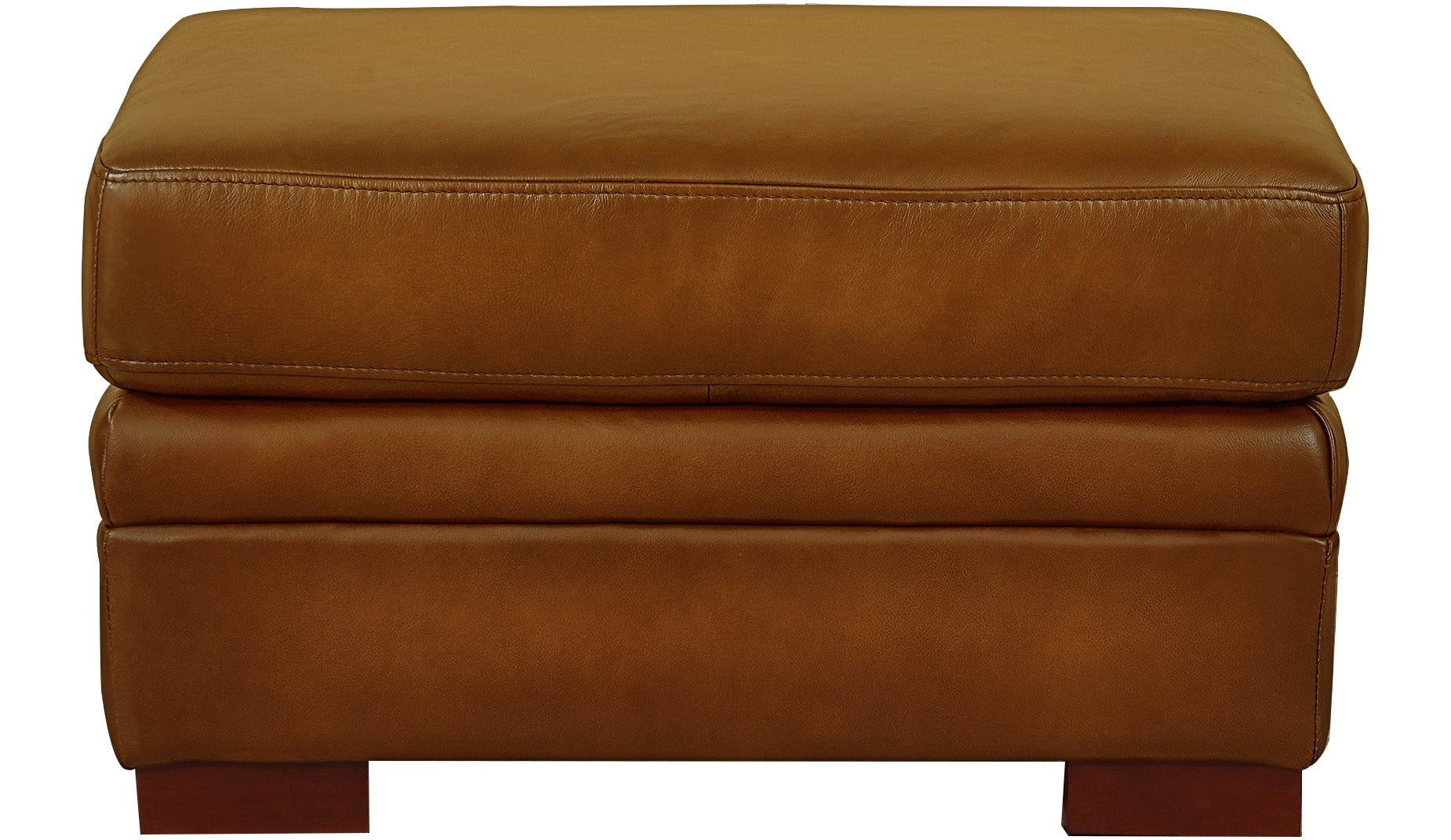 Dillon Leather Sofa Collection