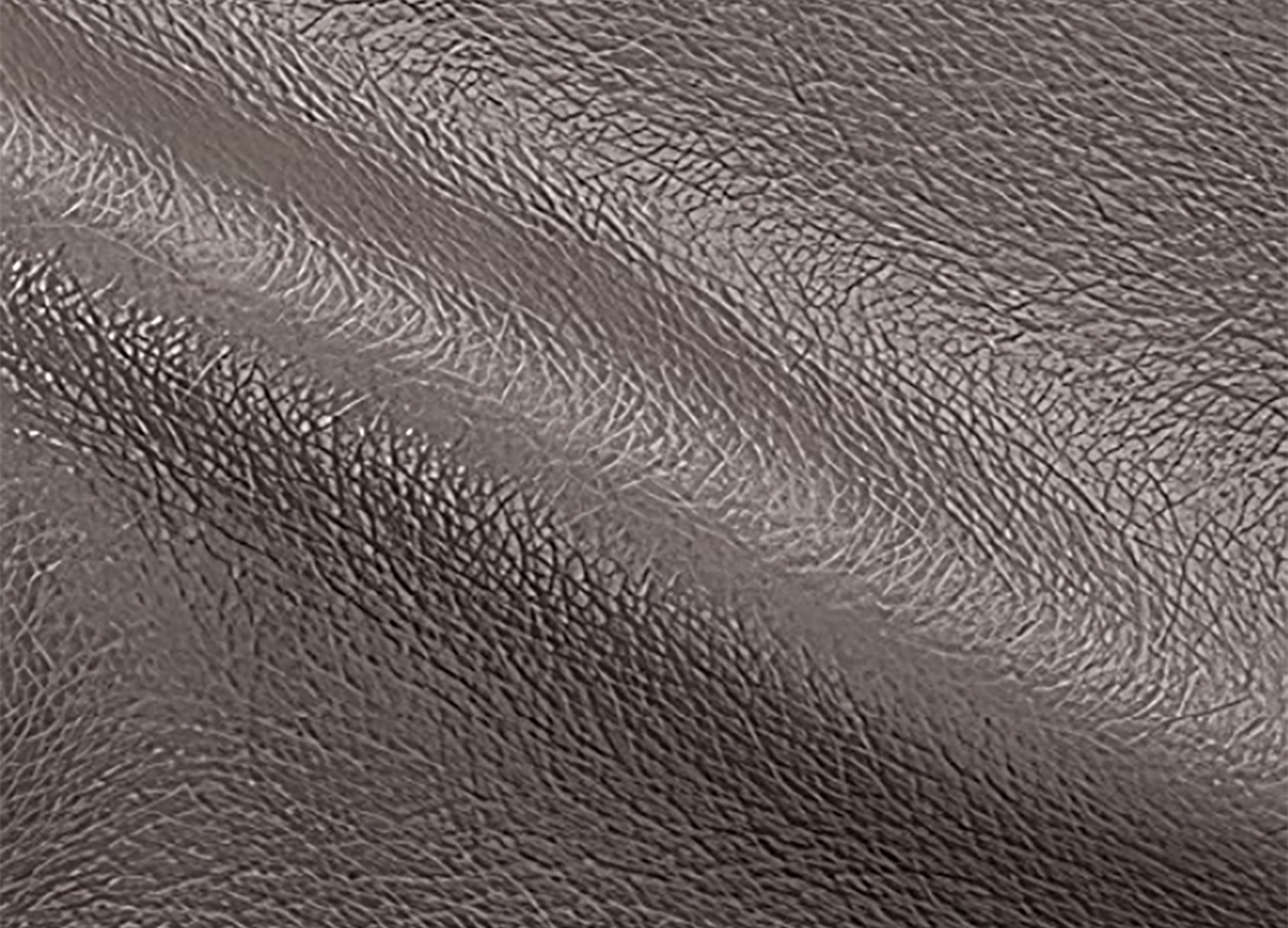 Dawn Leather Sofa Collection