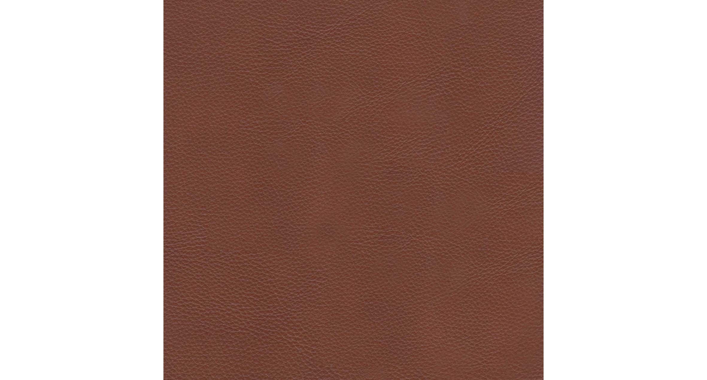 Dillon Leather Sectional Collection - Hydeline USA