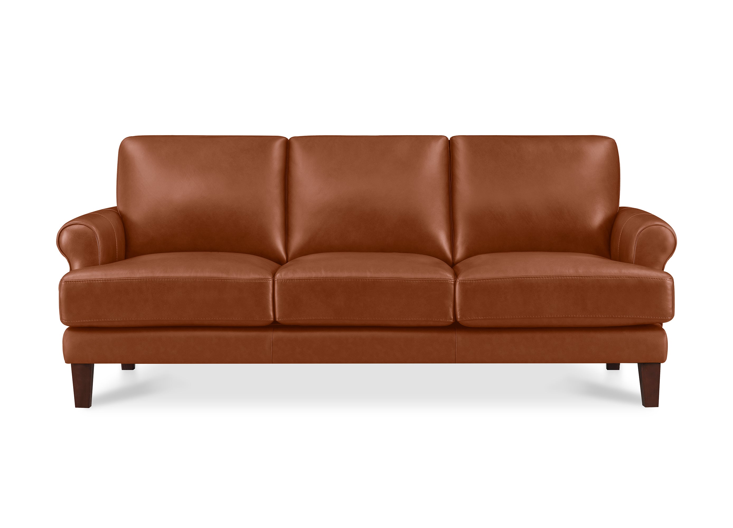 Dawn Leather Sofa Collection
