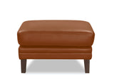 Arvo Leather Sofa Collection