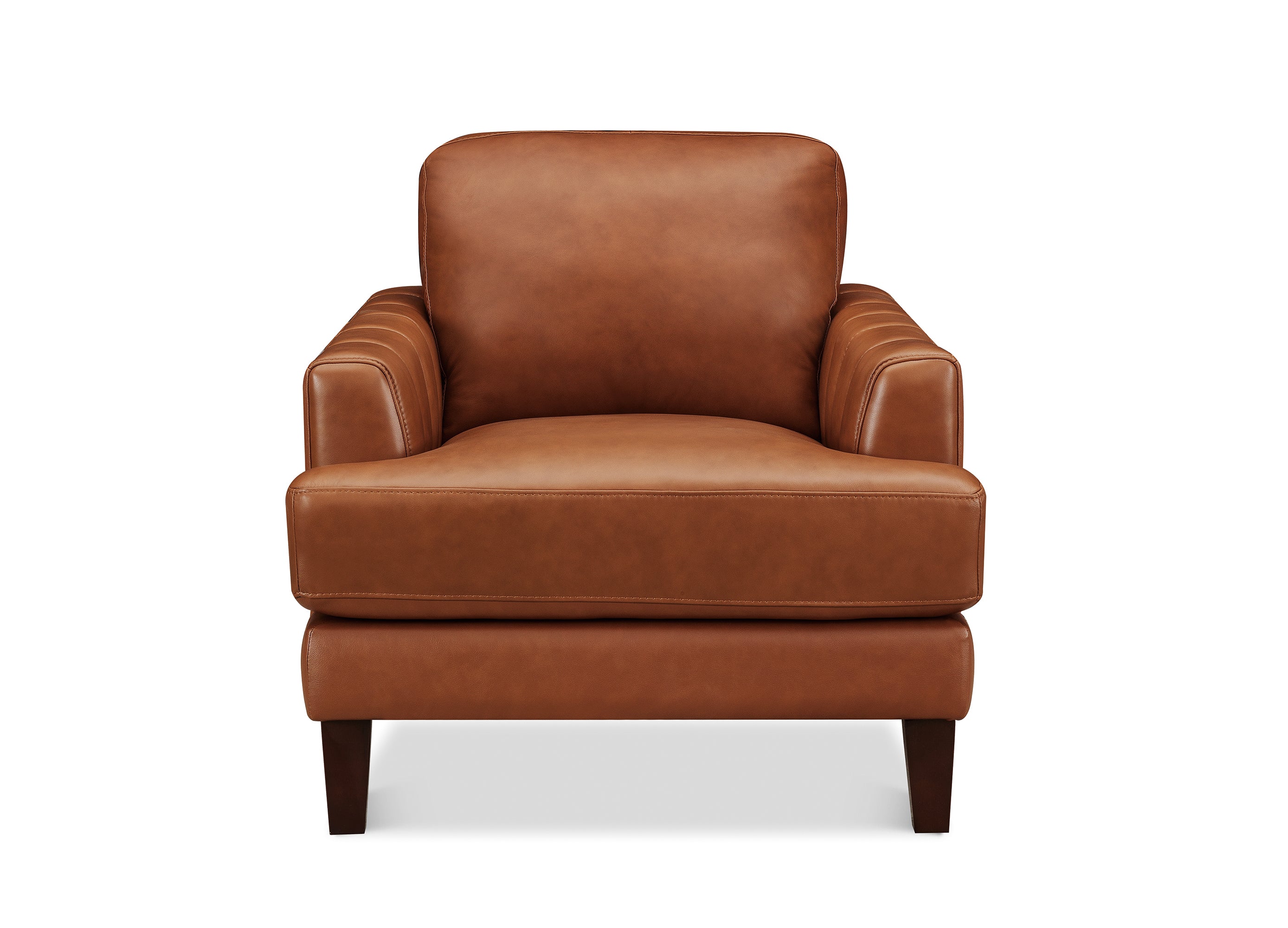 Cassia Leather Sofa Collection