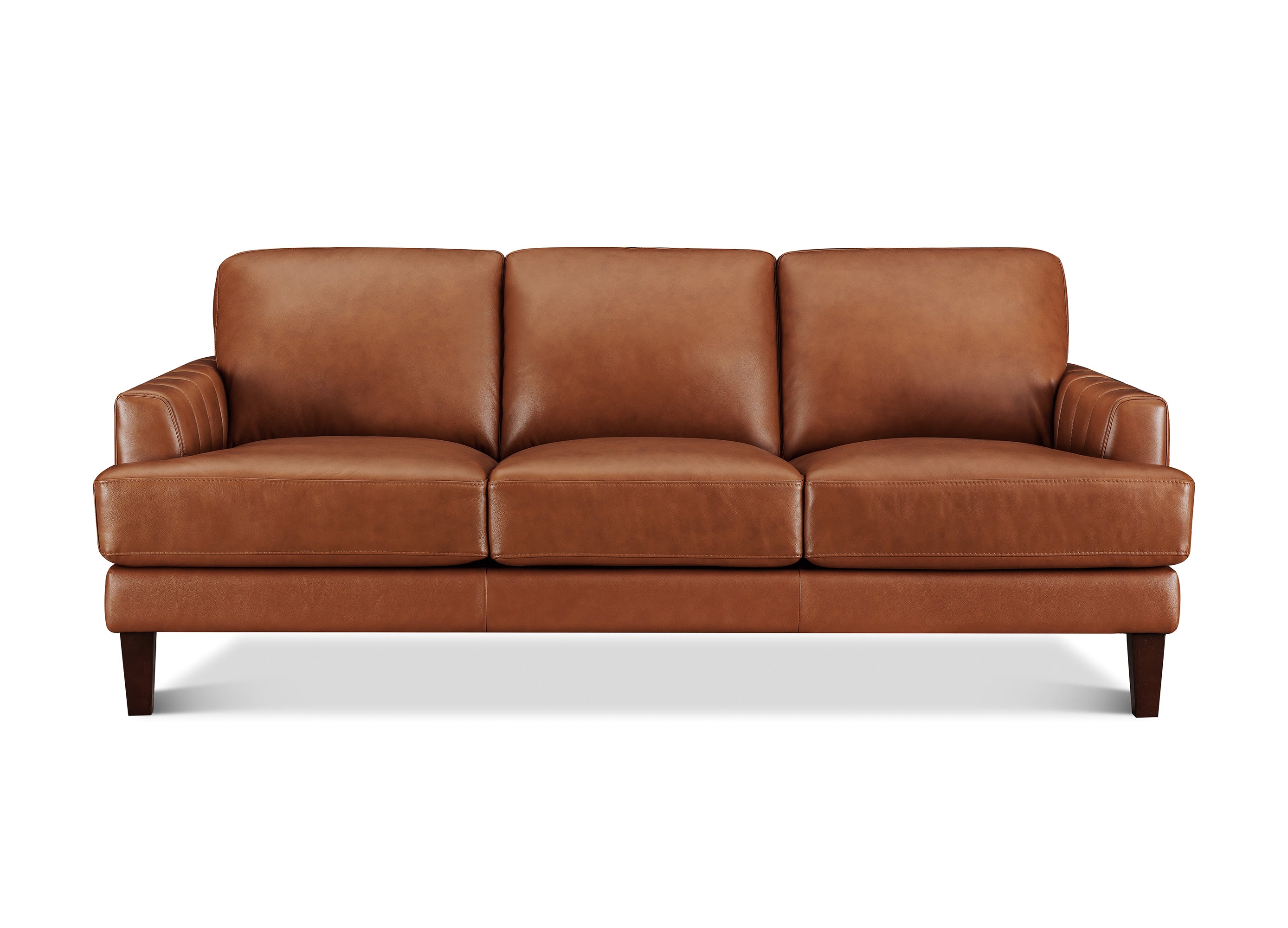 Cassia Leather Sofa Collection