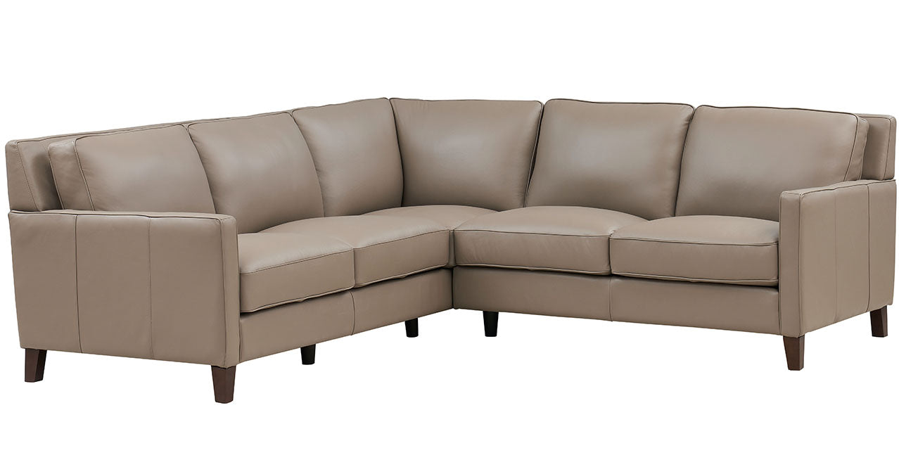 Ashby Leather Sectional Collection