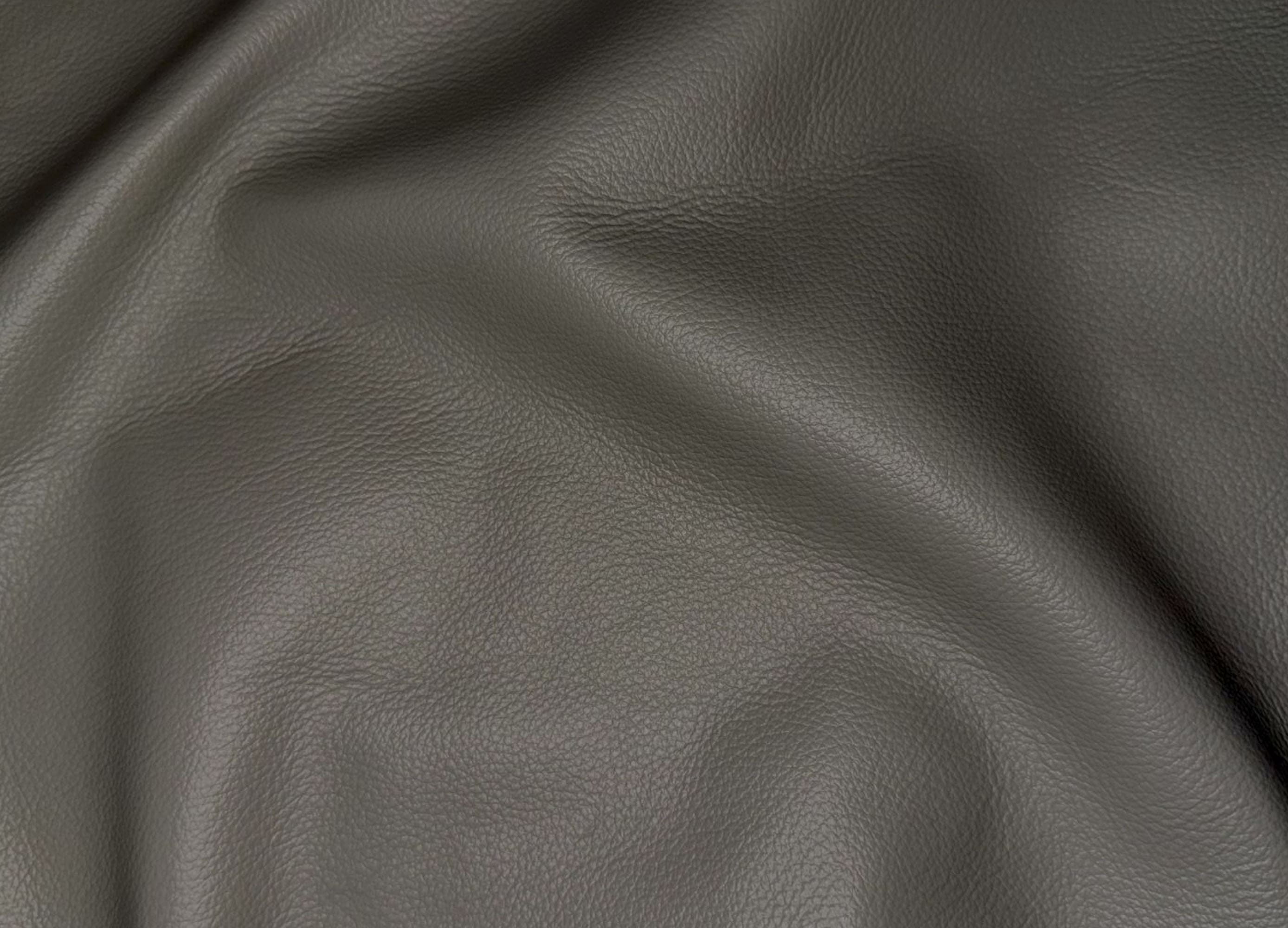 Fremont Leather Sofa Collection