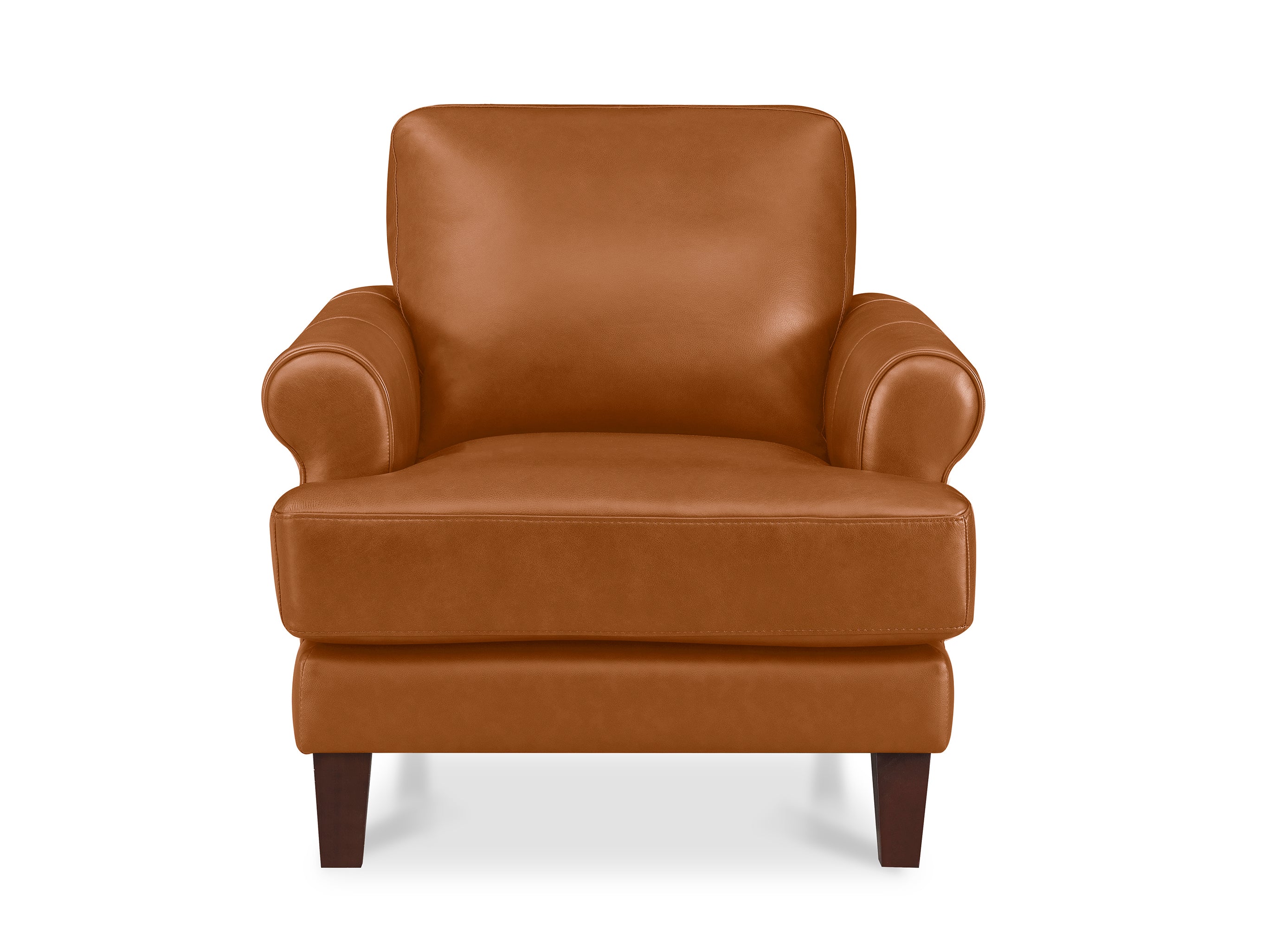 Dawn Leather Sofa Collection