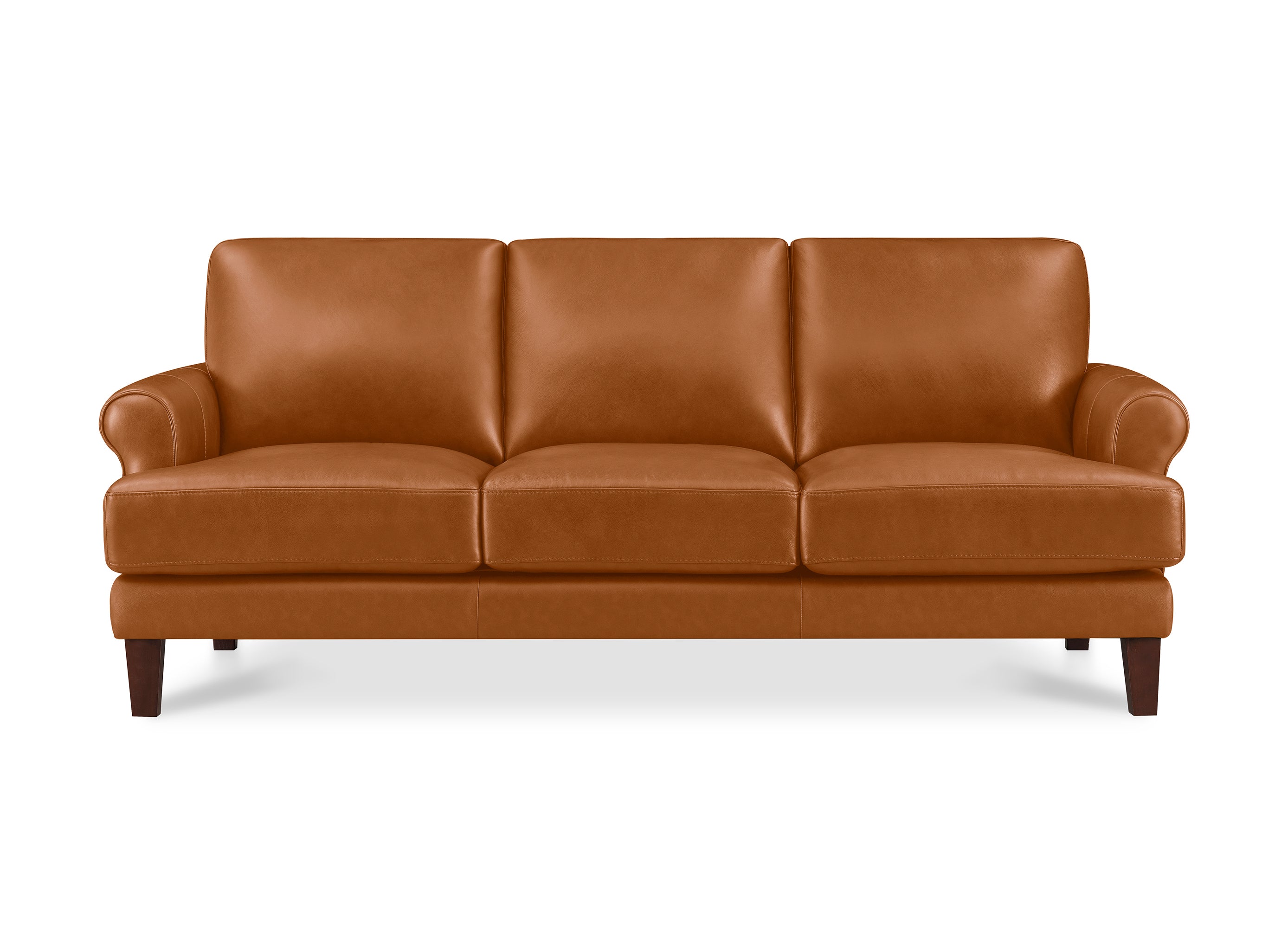 Dawn Leather Sofa Collection