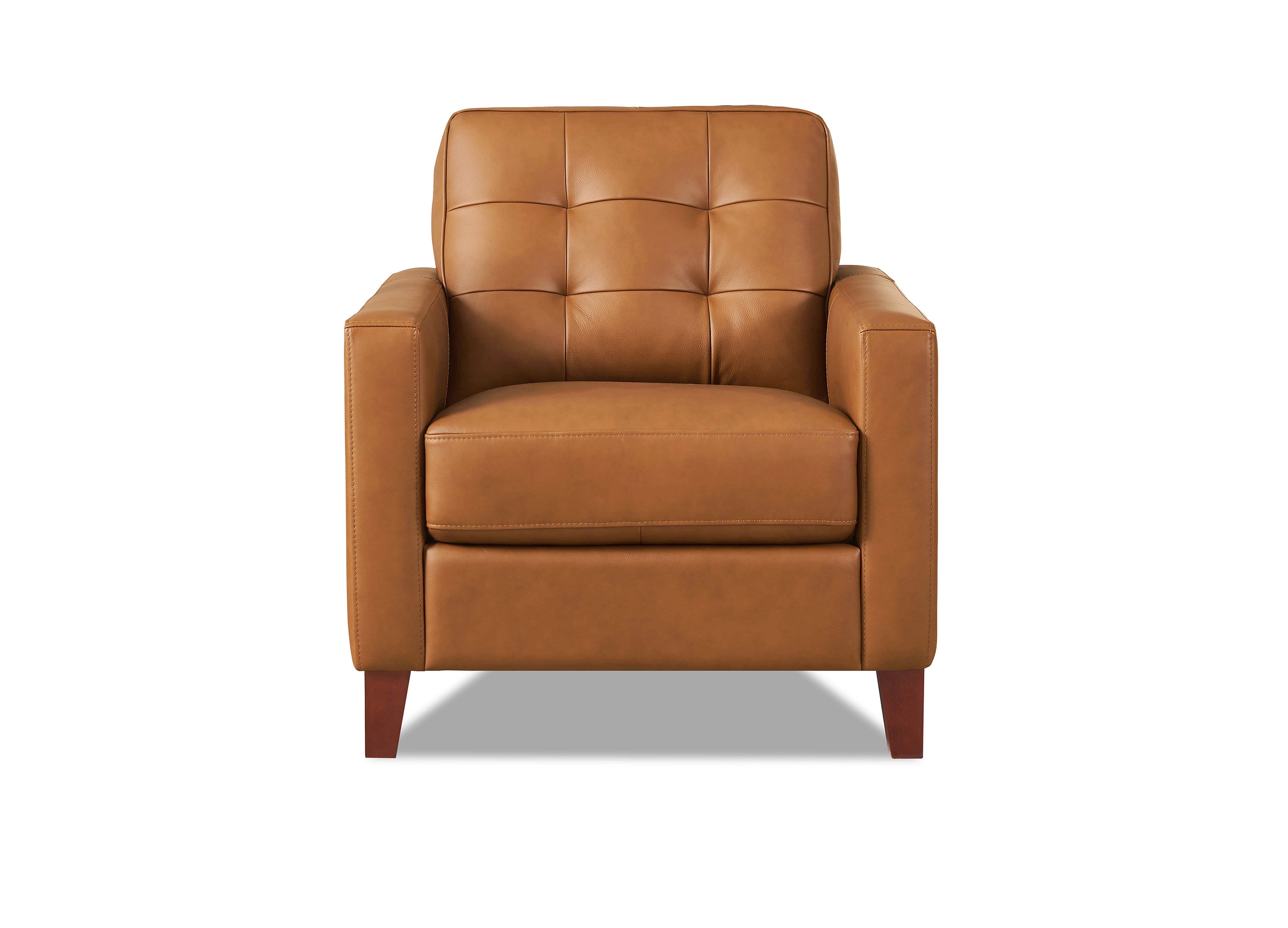 Aiden Leather Sofa Collection
