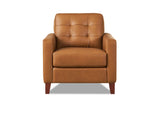 Aiden Leather Sofa Collection