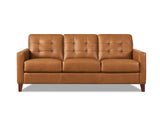 Aiden Leather Sofa Collection
