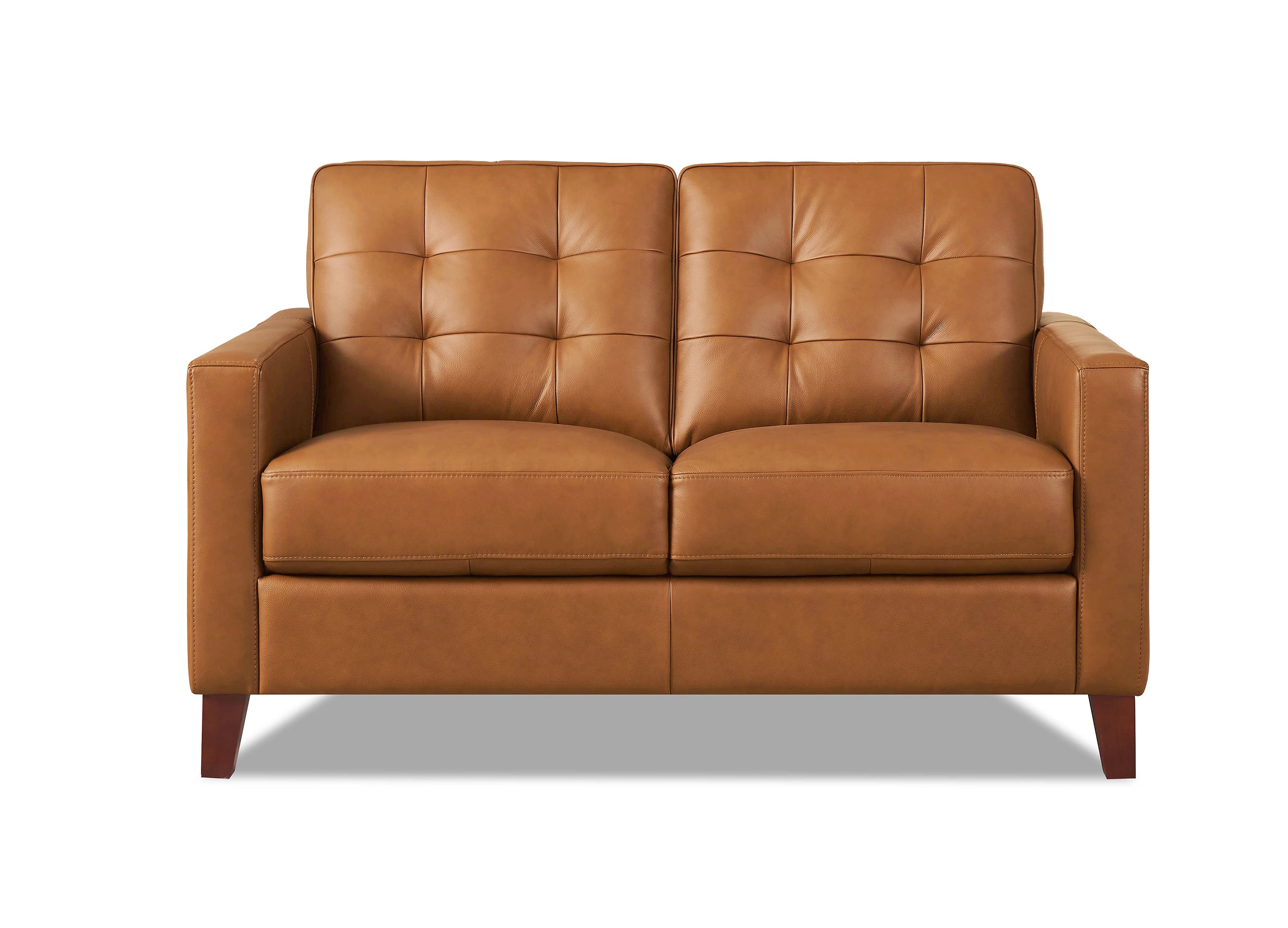 Aiden Leather Sofa Collection