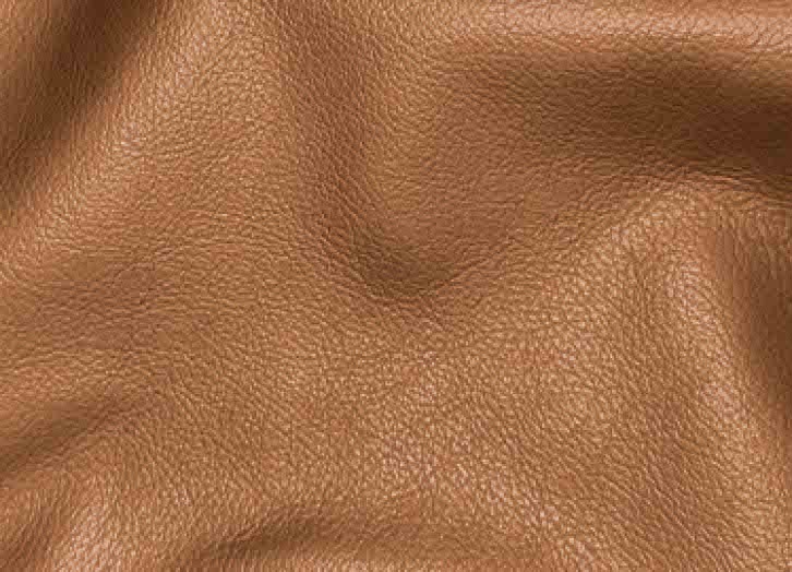 Alton Bay Leather Sofa Collection
