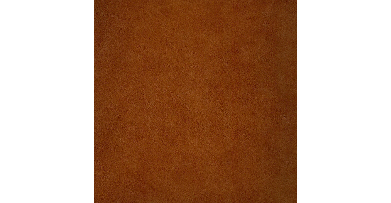 Cameron Leather Sofa Collection