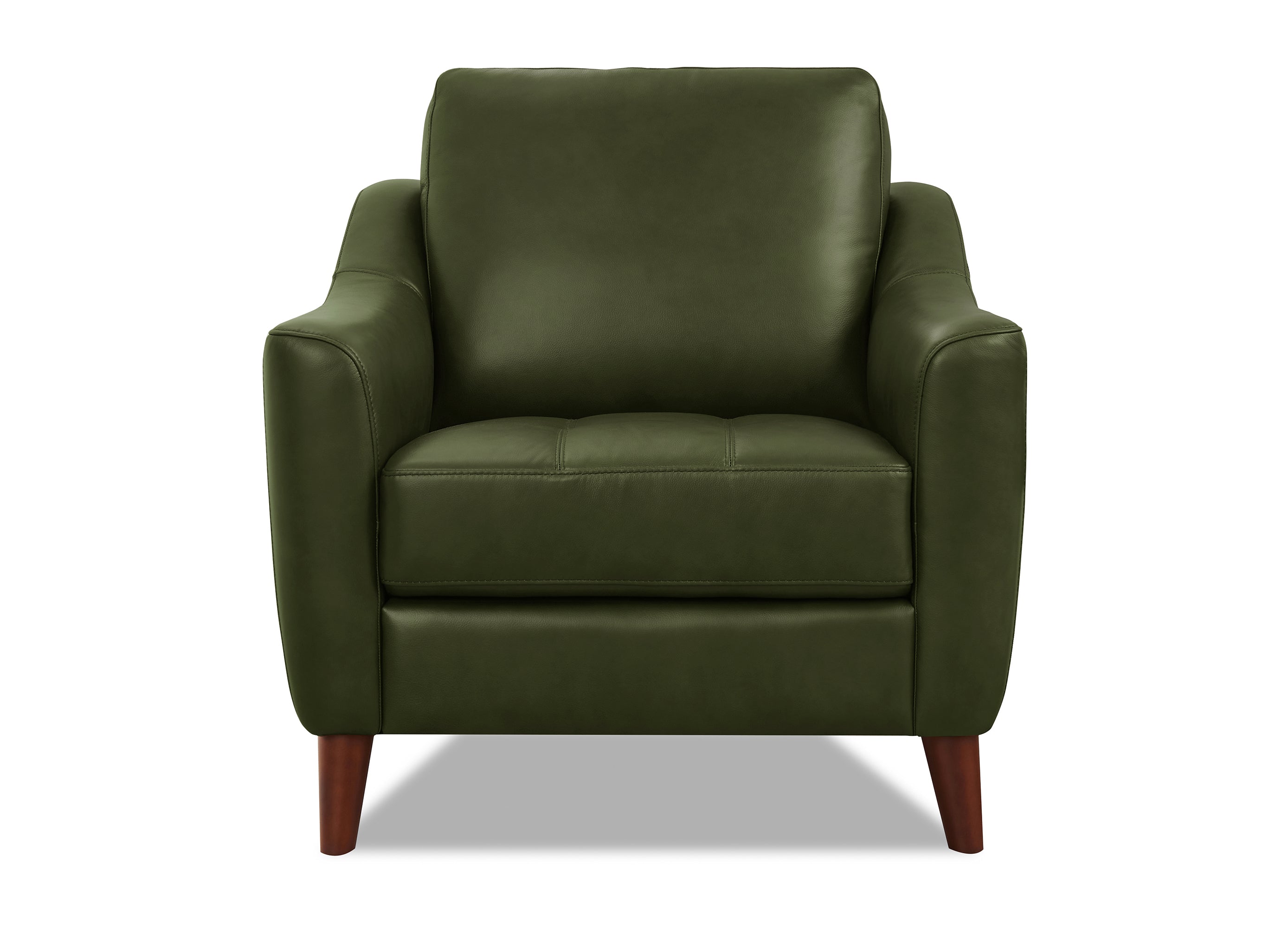 Ersa Leather Sofa Collection