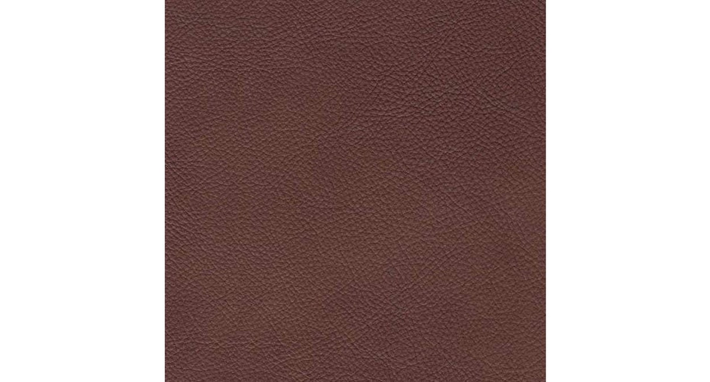 Riverside Power Headrest Lumbar Zero Gravity Recliner