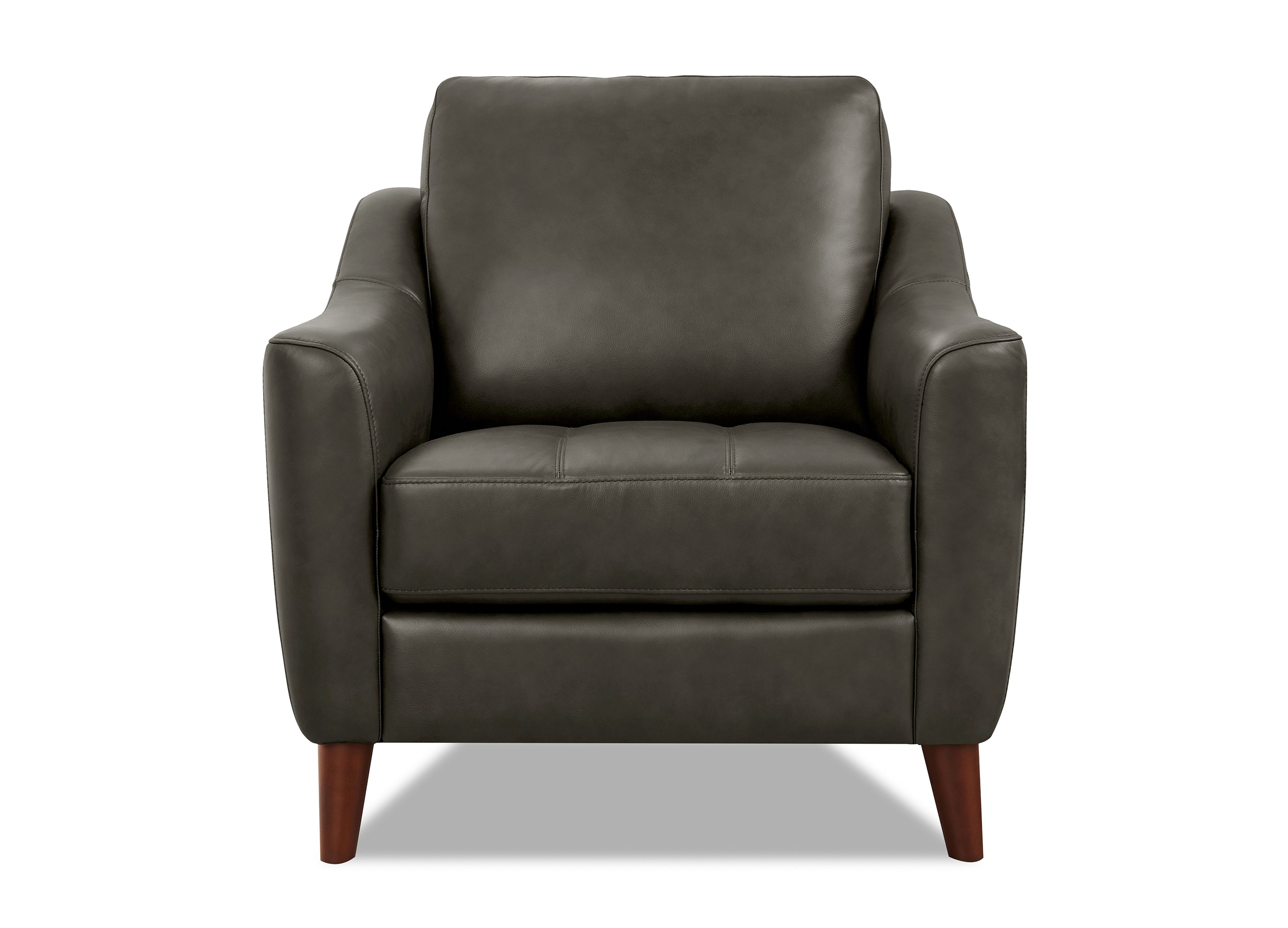 Ersa Leather Sofa Collection