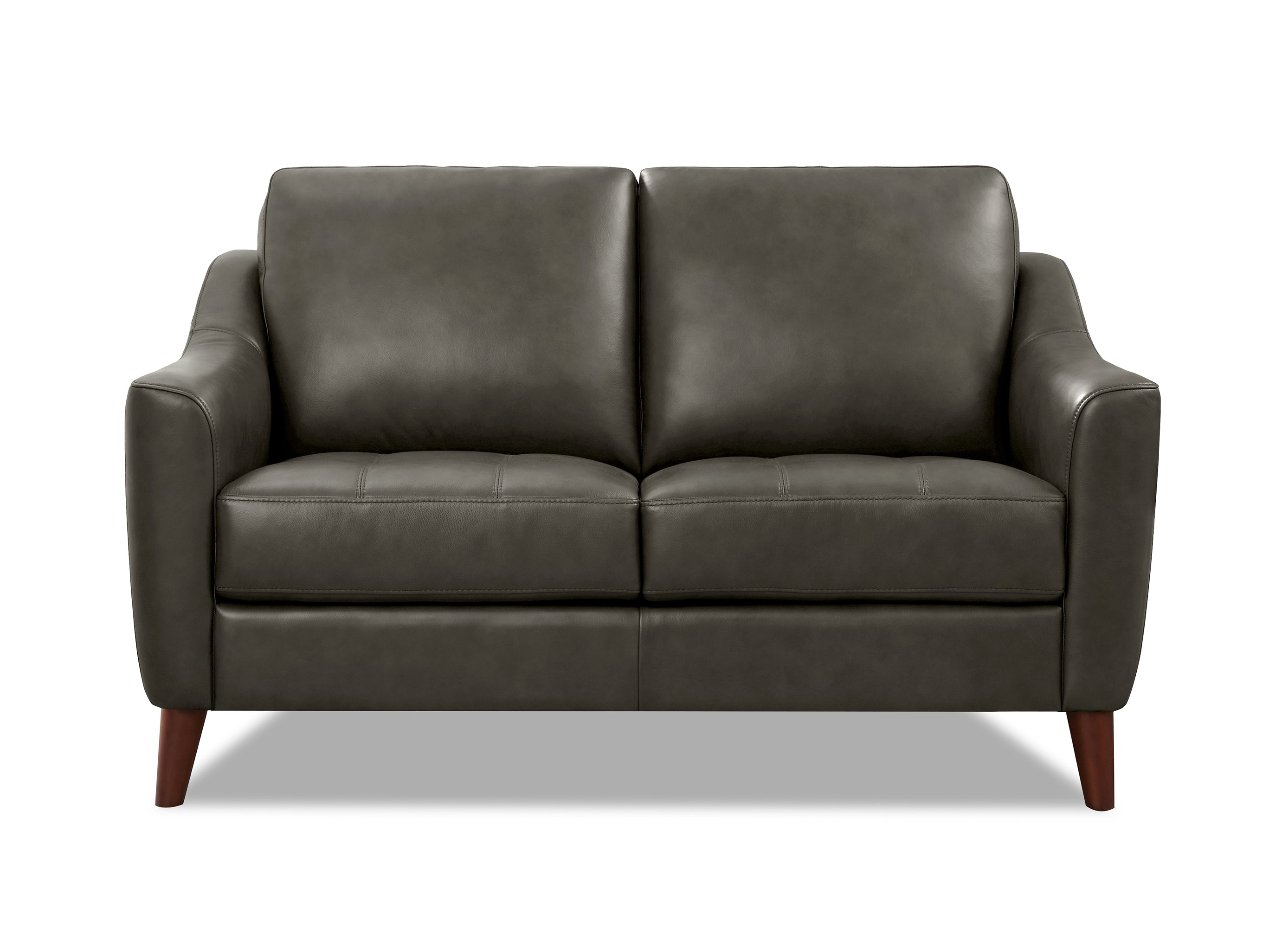 Ersa Leather Sofa Collection
