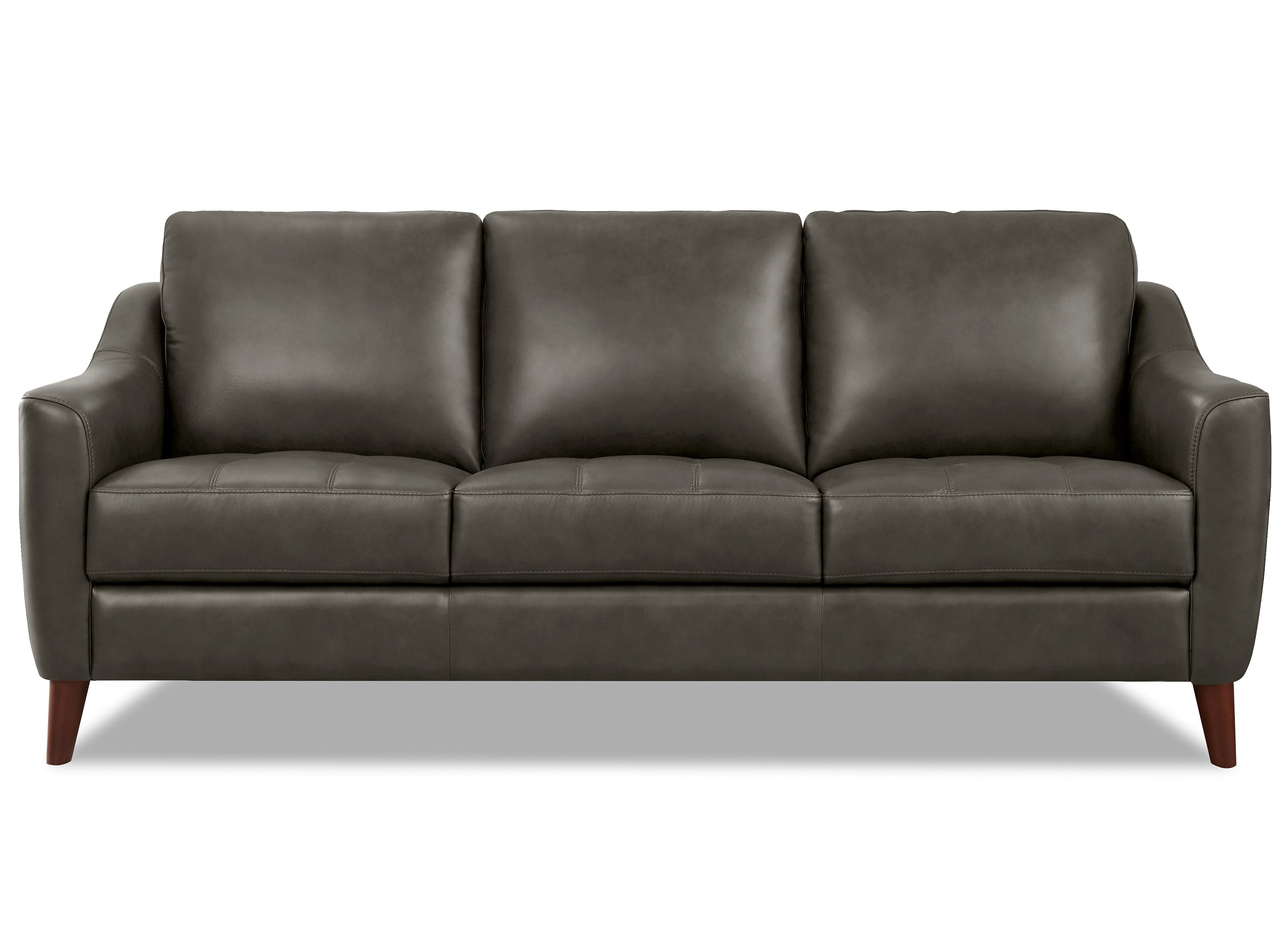 Ersa Leather Sofa Collection