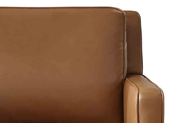 Ashby Leather Sofa Collection
