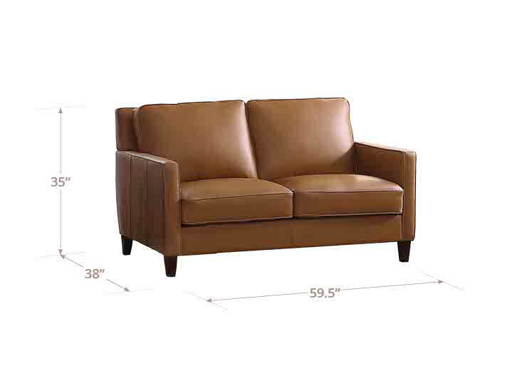 Ashby Leather Sofa Collection