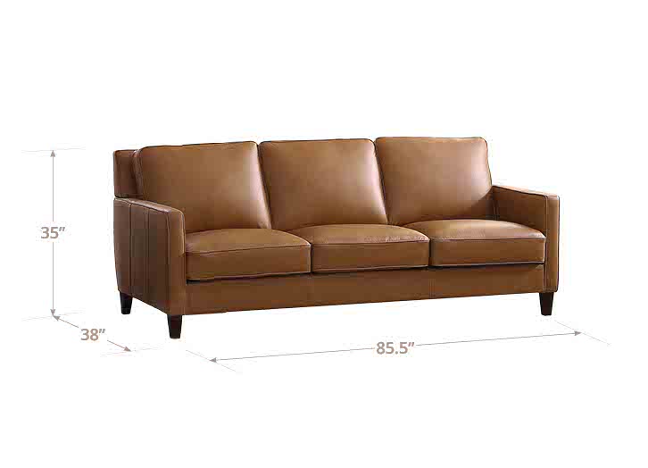 Ashby Leather Sofa Collection