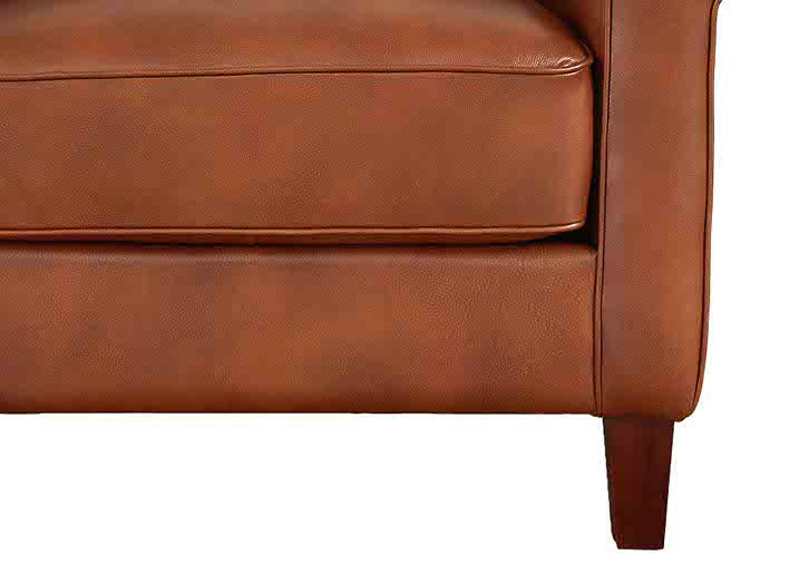 Laguna Leather Sofa Collection