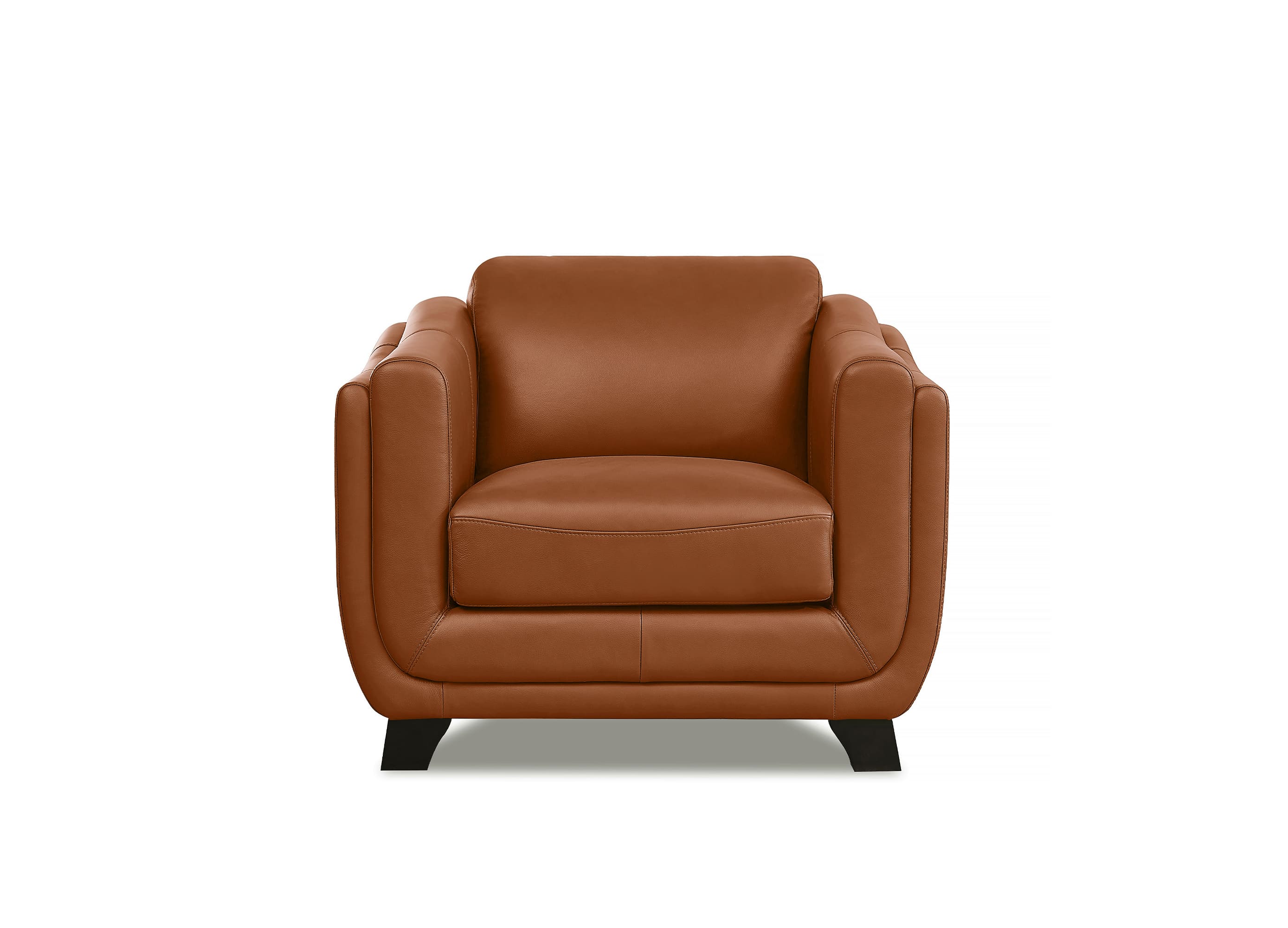 Fremont Leather Sofa Collection