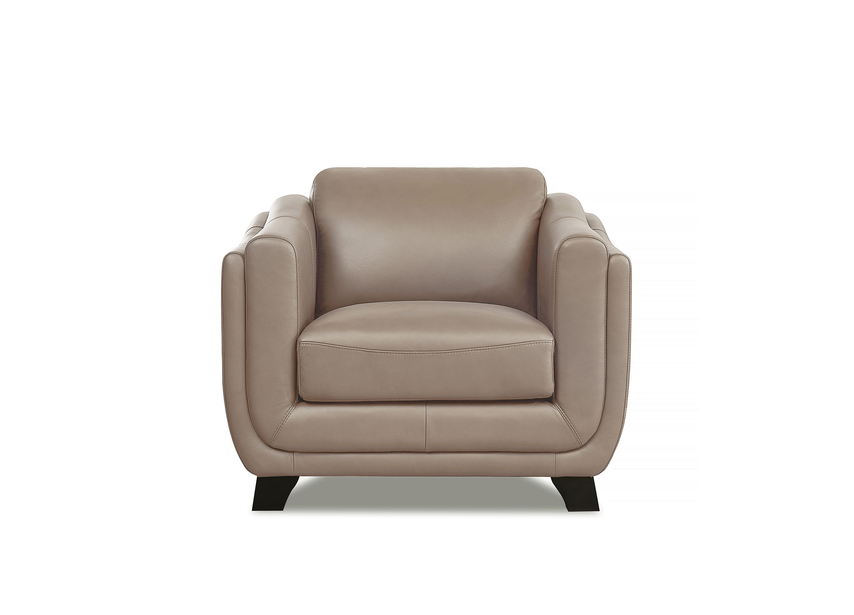 Fremont Leather Sofa Collection