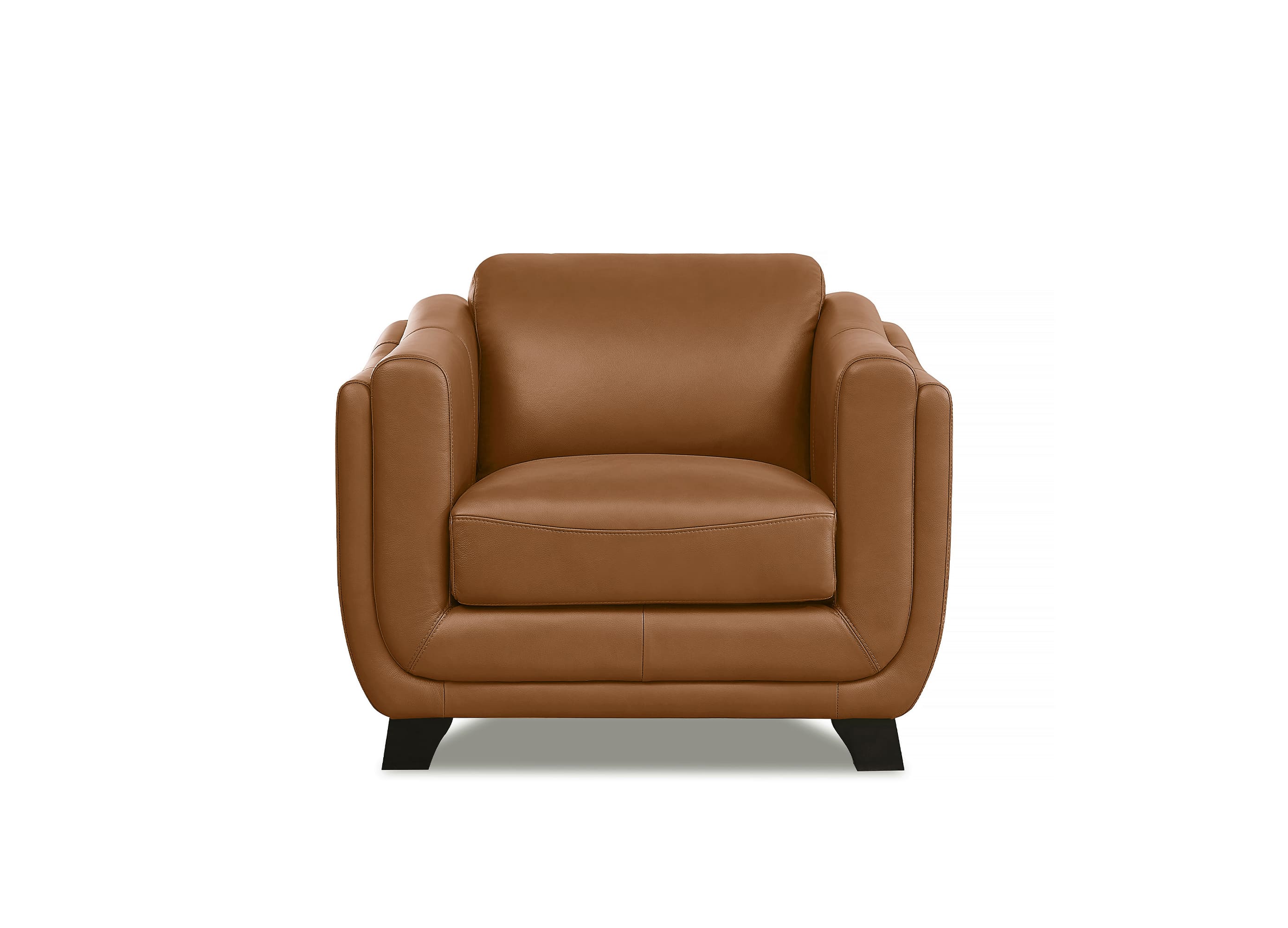 Fremont Leather Sofa Collection